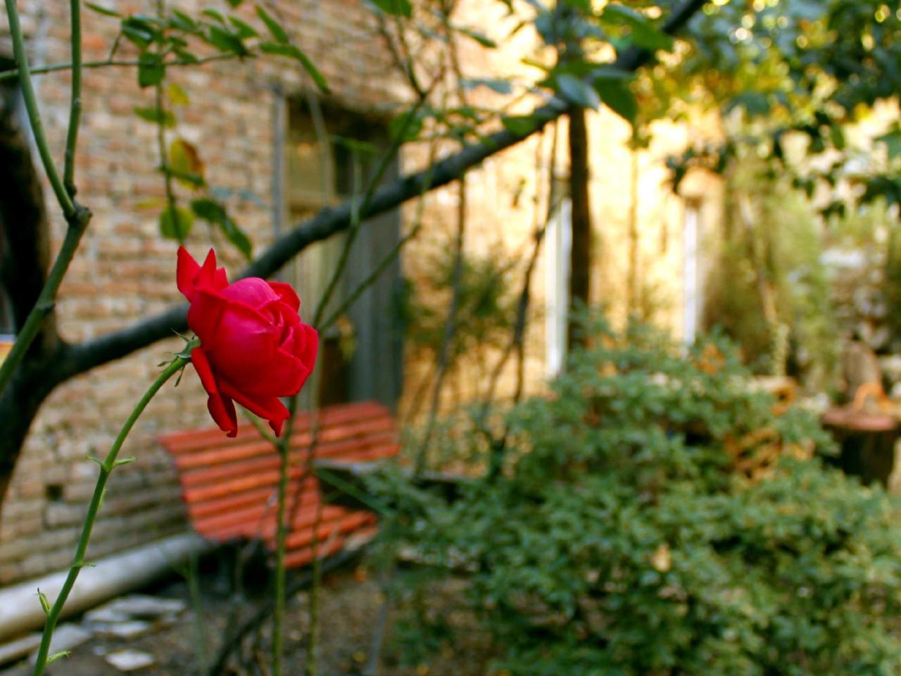 Colors Hostel Tbilisi Luaran gambar